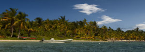 Boote am Palmenstrand